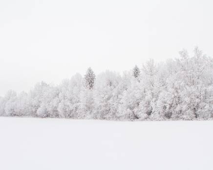 КП «Петергофские предместья» (20.01.16), Март 2016