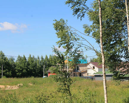 КП «Рыжики», Июль 2015