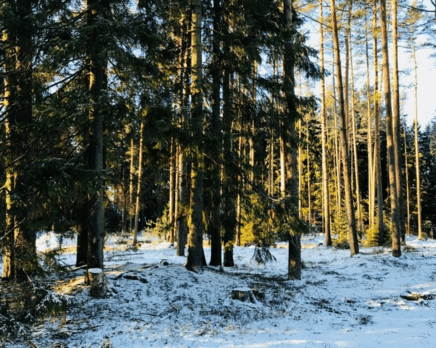 КП «Ривер Парк», Февраль 2019