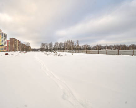ЖК «Новое Пушкино», Январь 2026