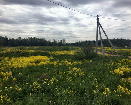 КП «Город Сад», Февраль 2020