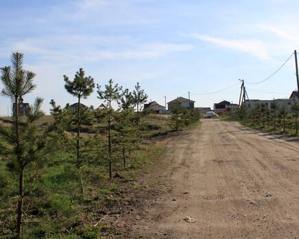 КП «Елагино», Март 2020