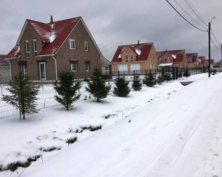 КП «Одуванчик», Март 2020
