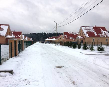 КП «Одуванчик», Март 2020