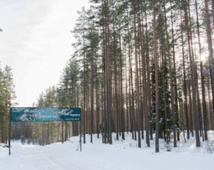 КП «Перелесье», Март 2020