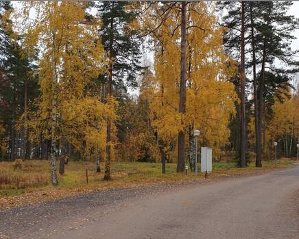 КП «Волшебное озеро», Апрель 2020