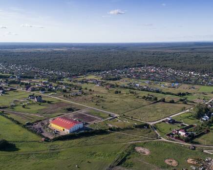 Царский склон (Ропшинская долина), Апрель 2020