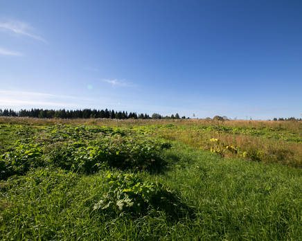 КП «Екатериновский», Сентябрь 2015