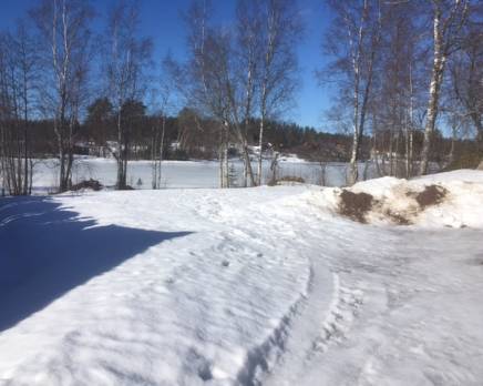 КП «Хвойное — Луговое» , Февраль 2021