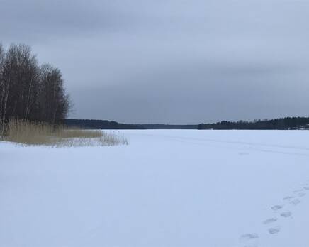 КП «Гусиное», Февраль 2021