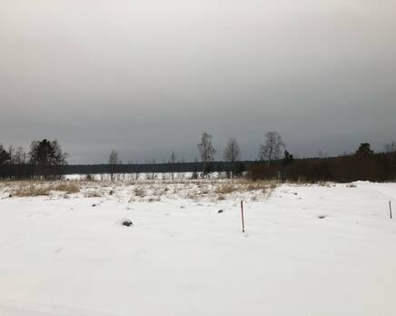 КП «Снетково», Март 2021
