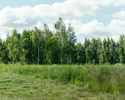 КП «Кокосы», Ноябрь 2021