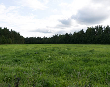 КП «Лаврово», Октябрь 2015