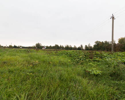 КП «Александровка», Октябрь 2015