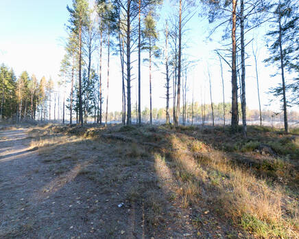 КП «Вивальди парк», Октябрь 2015