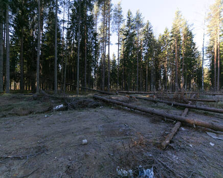 КП «Вивальди парк», Октябрь 2015