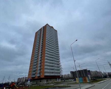 ЖК «Муринские высоты», Январь 2021