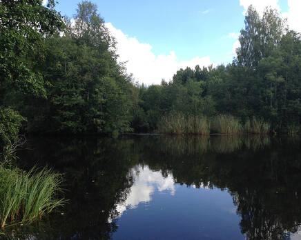 КП «Карпаты», Июнь 2016