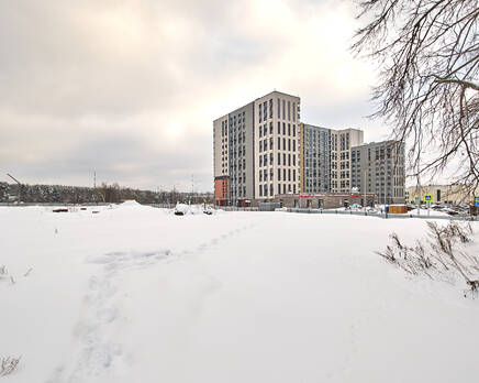 ЖК «Новое Пушкино», Январь 2026