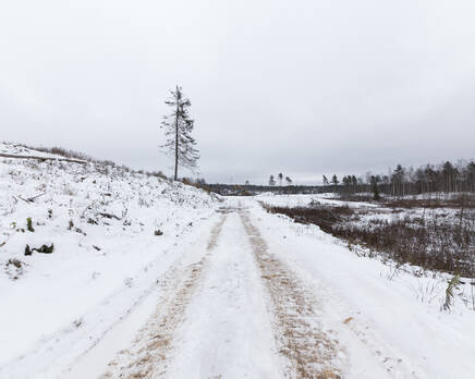 КП Полесье (Всеволожский район), Декабрь 2016