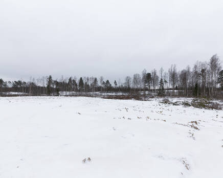 КП Полесье (Всеволожский район), Декабрь 2016