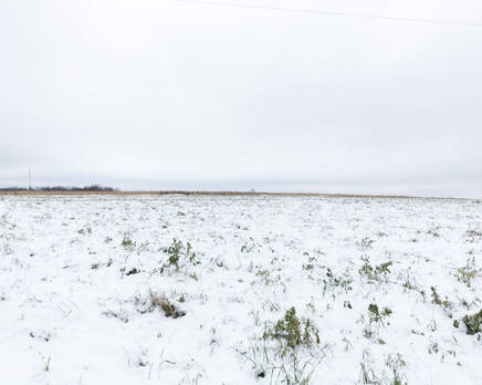 КП «Русское поле», Декабрь 2016