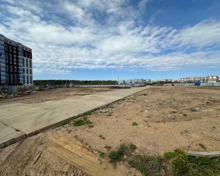 ЖК «Расцветай в Янино», Май 2025