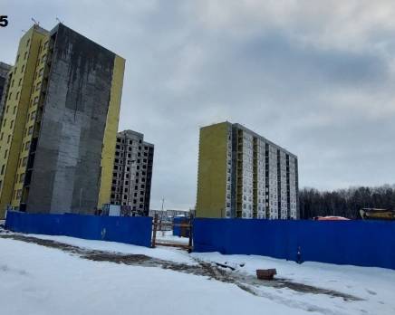 ЖК «ЛесART», Январь 2025