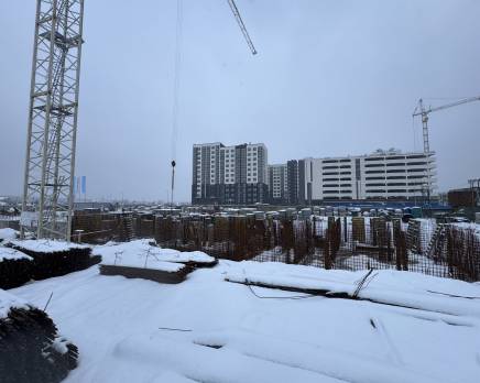 ЖК «Загляденье», Январь 2025