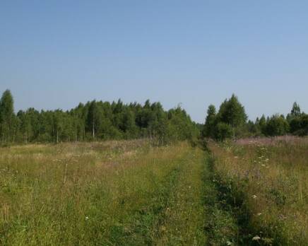 КП «Юрки»