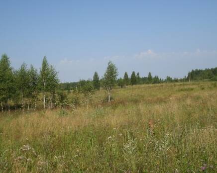 КП «Юрки»