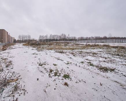ЖК «Новое Пушкино», Декабрь 2025