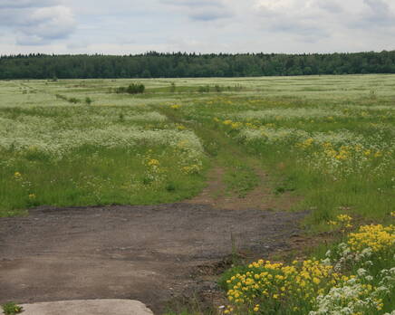 КП «Заостровье», Июнь 2012