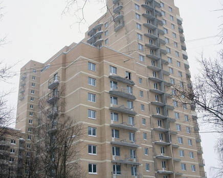 Жилой дом на Северном проспекте, Январь 2010