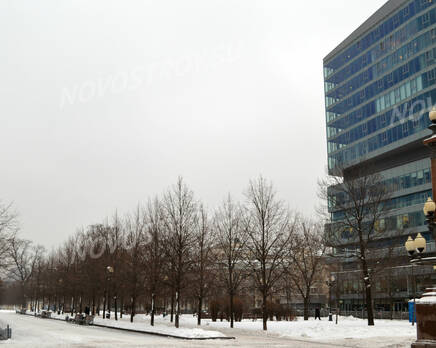 Окрестности ЖК «Легенда Цветного» (02.12.12), Январь 2013