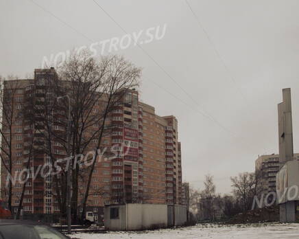«Дом в Зеленограде» (18.11.12), Январь 2013