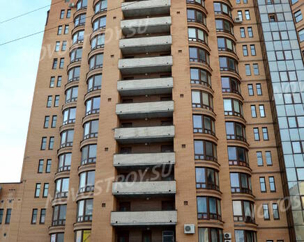 Фасад жилого комплекса «Дом на проспекте Славы» (24.02.2013), Март 2013