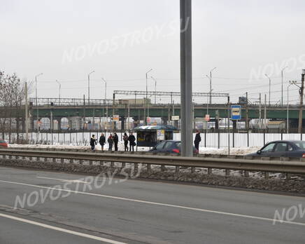 Окрестности жилого комплекса «Шушары» (14.02.2013), Март 2013