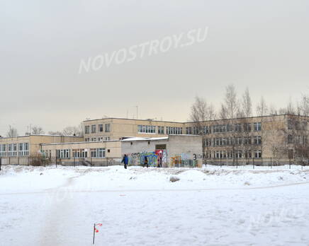 Окрестности жилого комплекса «Шушары» (14.02.2013), Март 2013