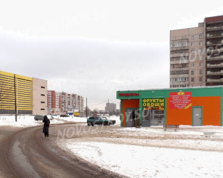 Окрестности жилого комплекса «Дом в Коломягах» (24.02.2013), Март 2013
