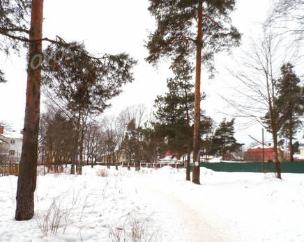Окрестности жилого комплекса «Дом в Коломягах» (24.02.2013), Март 2013