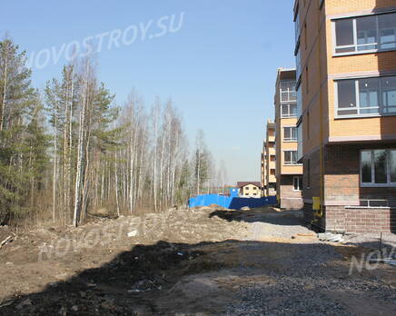 Окрестности жилого комплекса во Всеволожске (22.04.2013), Апрель 2013