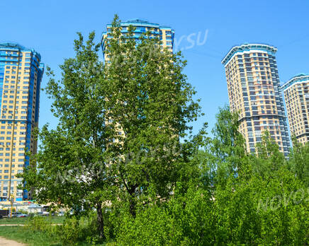 ЖК «Янтарный город» (15.05.2013 г.), Май 2013