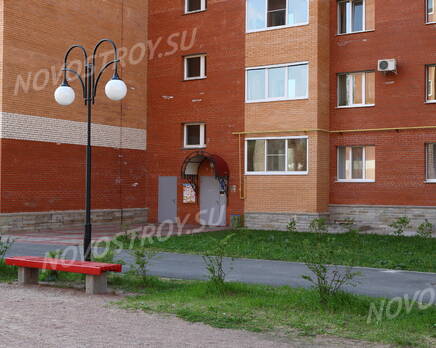 ЖК «Ижора» (15.05.2013), Июнь 2013