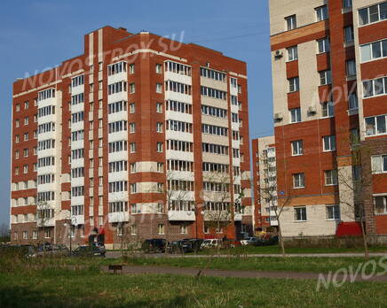 ЖК «Ижора» (15.05.2013), Июнь 2013