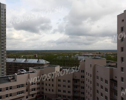 ЖК «Олимп» (15.05.2013), Июнь 2013
