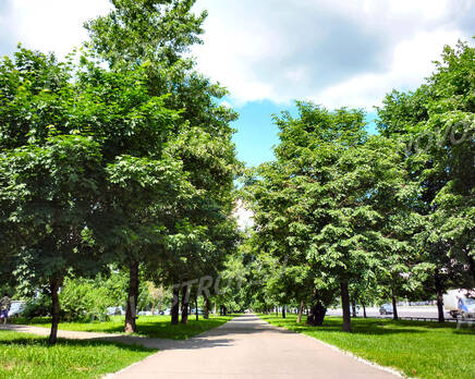 Жилой комплекс «Шоколад», Июль 2013