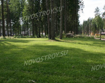Коттеджный посёлок «Лесной парк» (20.06.2013 г.), Июль 2013