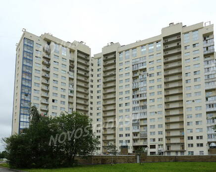 Комплекс на проспекте Большевиков, 47 (25.06.2013 г.), Июль 2013