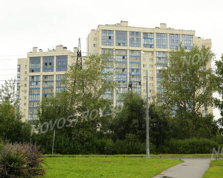 Комплекс на проспекте Большевиков, 47 (25.06.2013 г.), Июль 2013